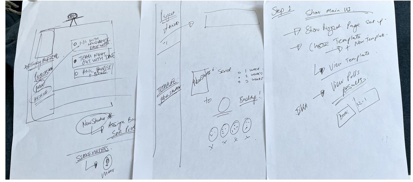 Hand-drawn sketches of a project page, a survey-send step and the main UI flow