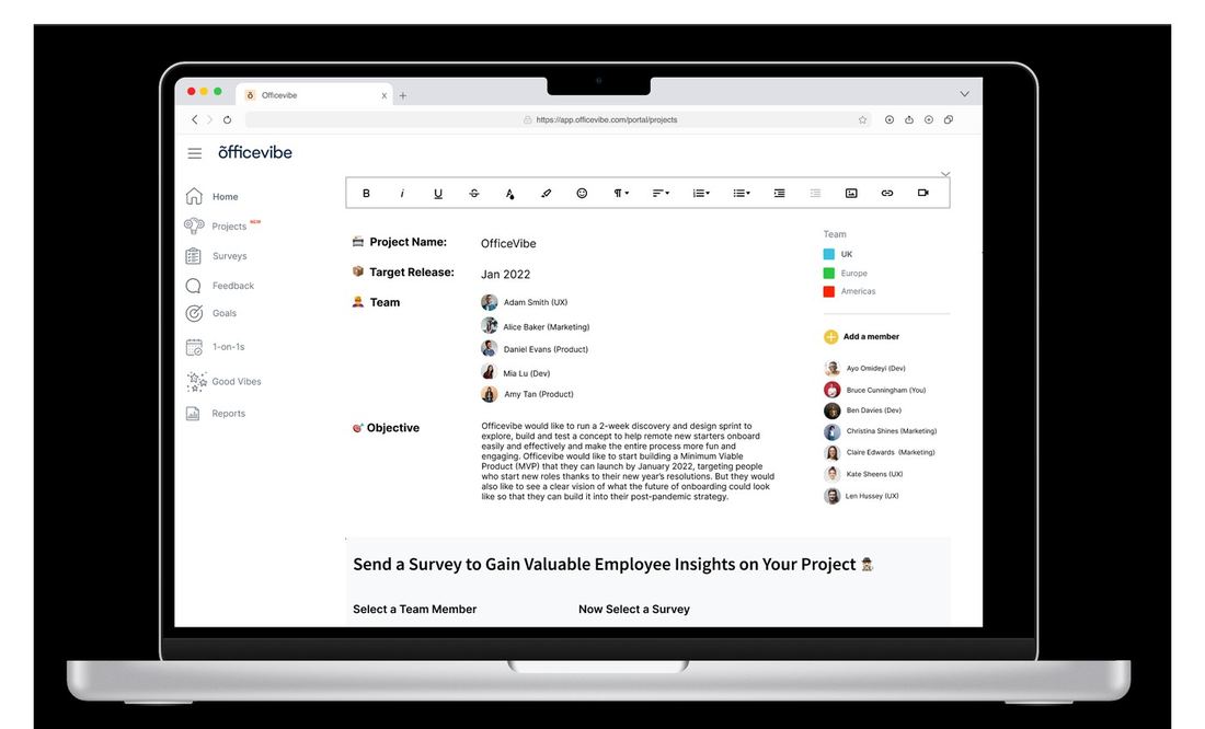 Project page after: Members and Add-a-member promoted up beside the Team section