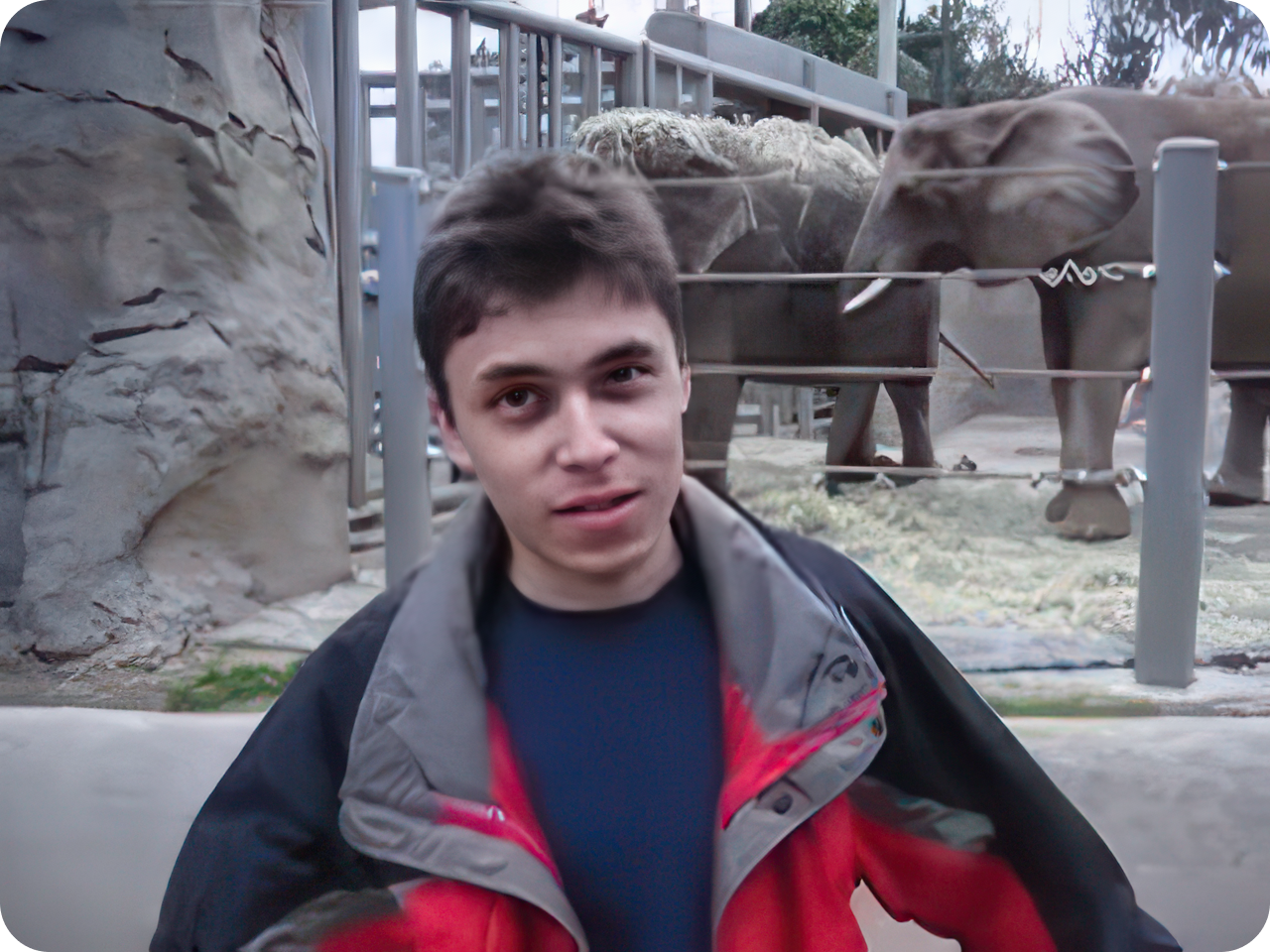 Still from 'Me at the zoo', the first video uploaded to YouTube: Jawed Karim standing in front of the elephant enclosure at San Diego Zoo
